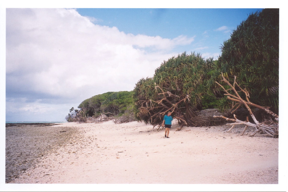 Lady Musgrave Island (coral barrier reef)