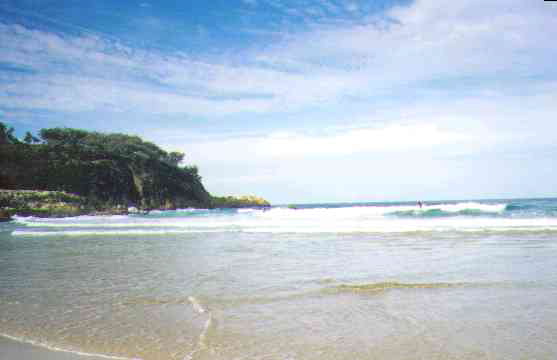 surfers at fisherman's beach no