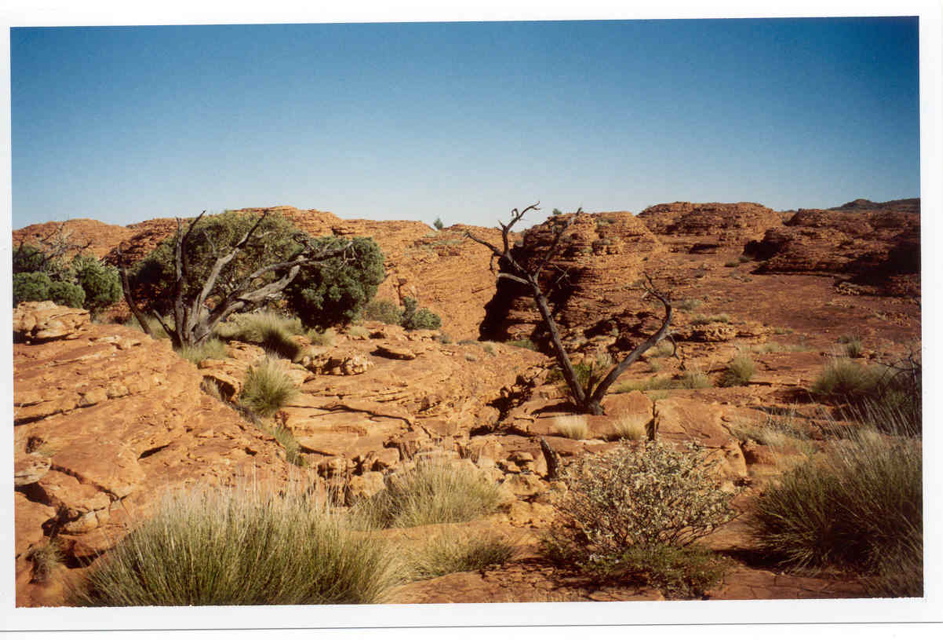 Kings' Canyon (red center)