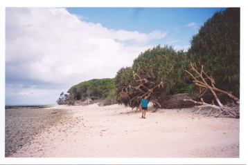 Lady Musgrave Island (coral barrier reef)