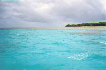 Marie snorkeling at Town of 1770