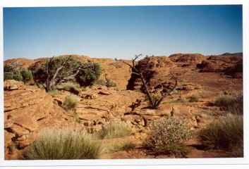 Kings' Canyon (red center)