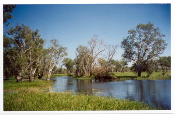 Kakadu Park